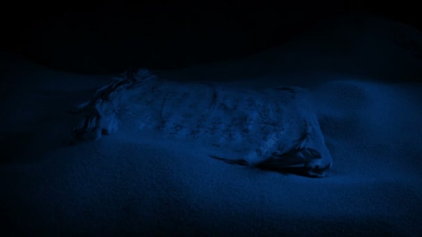Древний Китайский Пергамент Взятый Пещере Ночью — стоковое видео