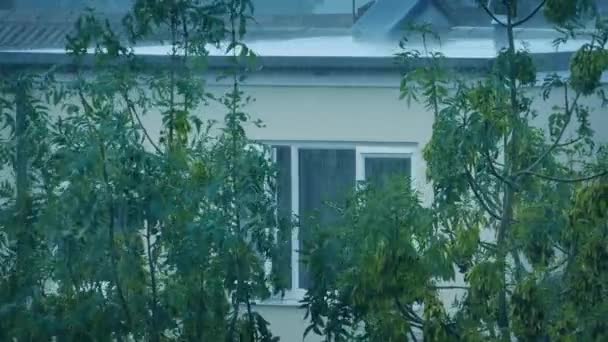 Dışarıda Ağaçlar Sallanırken Apartmana Sağanak Yağmur Yağıyor — Stok video