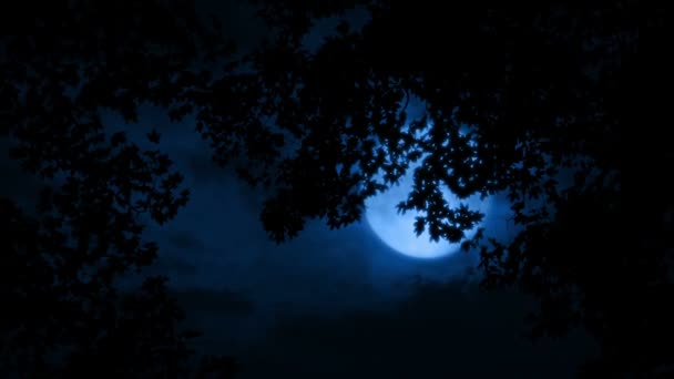 Stor Måne Lyser Bakom Träden Natten — Stockvideo