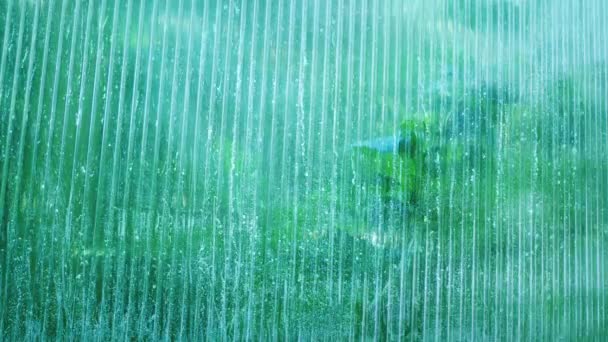 窗外有雨 植物在外面飞舞 — 图库视频影像