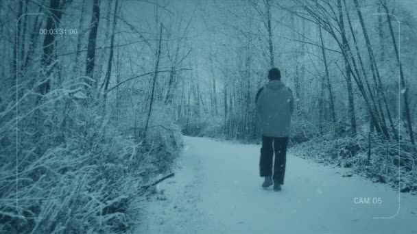 Cctv Man Περπατά Στο Μονοπάτι Μέσα Από Χιονισμένα Δάση — Αρχείο Βίντεο
