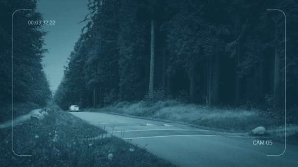 中央电视台汽车在森林路上通过 — 图库视频影像