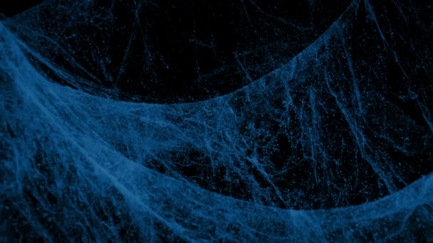 Spiderwebs Dark Closeup — Videoclip de stoc