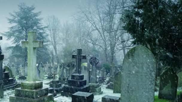 Kirkegård Snefald Overskyet Vinterdag – Stock-video