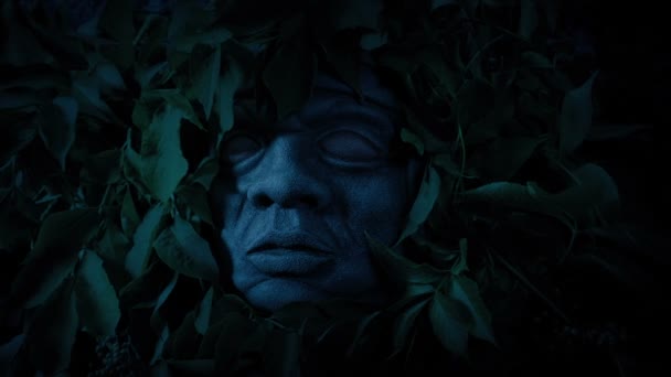 Karanlık Orman Eski Taş Kafada Gözler Parlıyor — Stok video