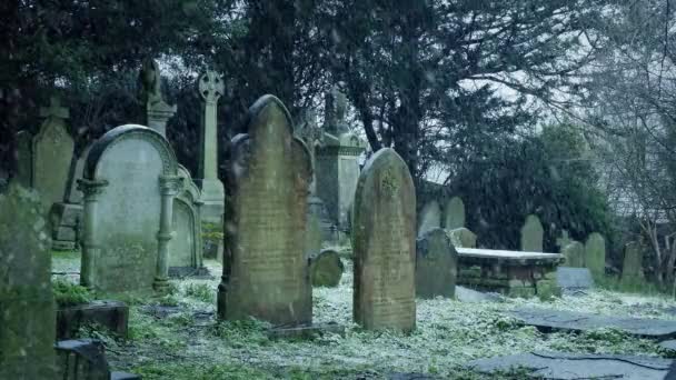 Sníh Padá Hřbitově Zimě — Stock video