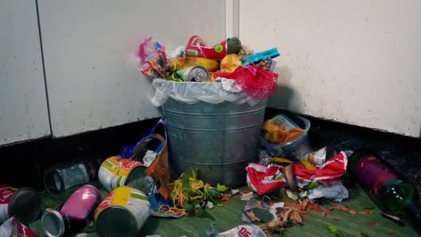 Dose Wird Müll Geworfen Und Verfehlt Mit Herumschwirrenden Fliegen — Stockvideo