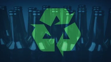Empty Beer Bottles For Recycling
