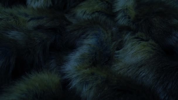 Passing Animal Fur Dark — стоковое видео