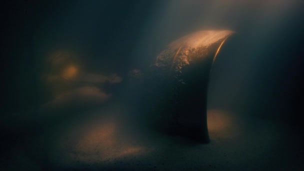 Gold Cup Onderwater Verloren Schat — Stockvideo