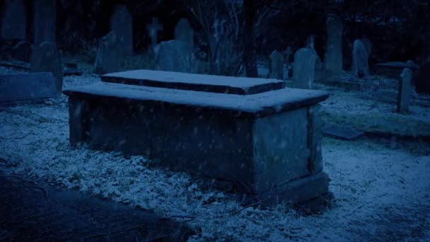 Nieve Cae Cripta Noche — Vídeo de stock