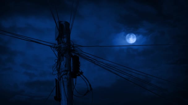 夜に月の上に電話ポーランド人 — ストック動画