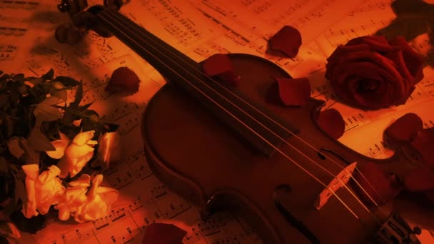 Violino Com Flores Conceito Desempenho Luz Fogo — Vídeo de Stock