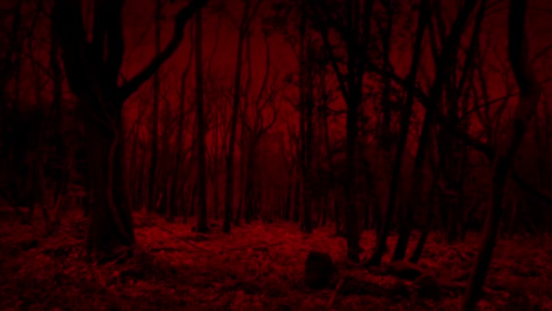 Περπατώντας Τρομακτικό Κόκκινο Δάσος Πλαϊνές Διαβάσεις Pov — Αρχείο Βίντεο