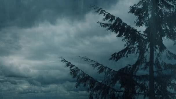 Chuva Dura Árvore Com Grandes Nuvens Acima — Vídeo de Stock