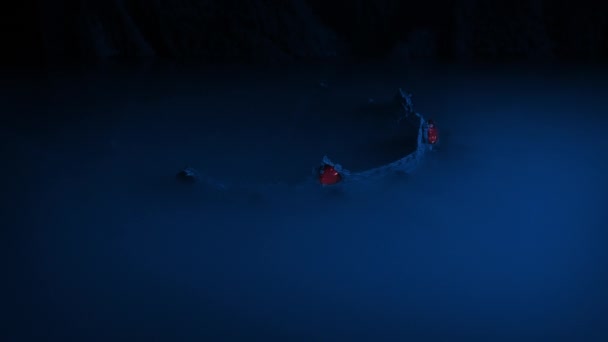 洞窟の水中から明らかにされた赤いダイヤモンドとクラウン — ストック動画