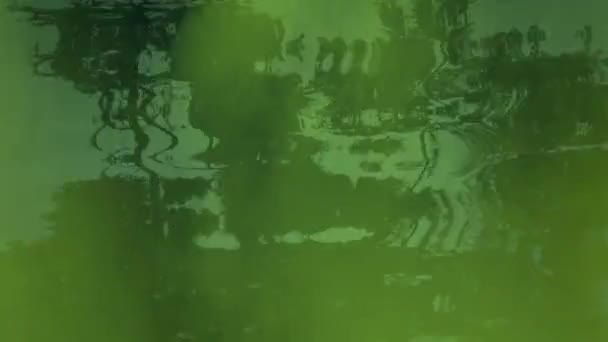 Gas Mueve Sobre Agua Verde Del Pantano — Vídeos de Stock