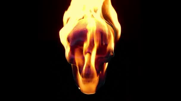頭蓋骨が火事で口を開く — ストック動画