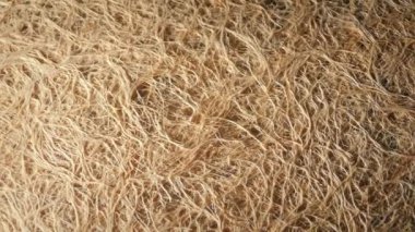 Kök Ağları Bahçecilik Konsepti Dönen Atış