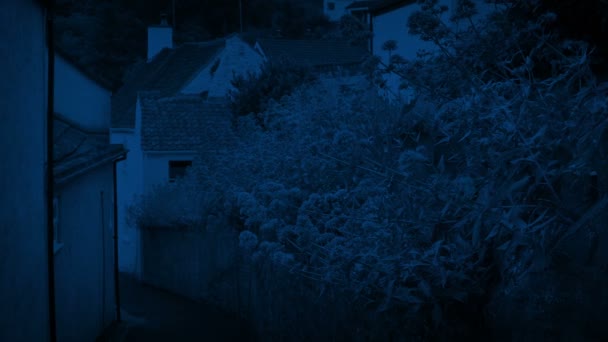 Voie Entre Les Maisons Avec Des Fleurs Dans Brise Nuit — Video