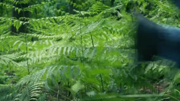 Człowiek Biegnie Przez Las Strzały — Wideo stockowe