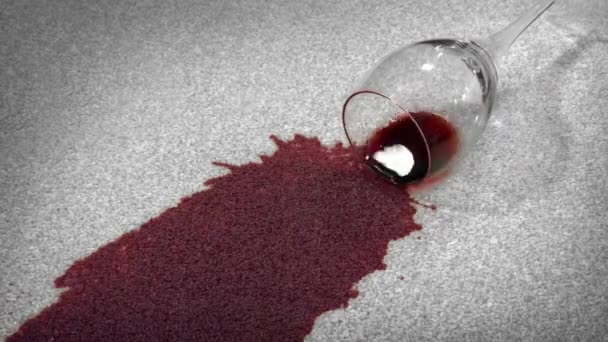 カーペットの大きな汚れに赤ワインのスパイス — ストック動画