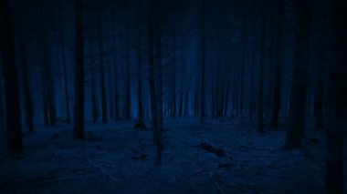 Canavarlar geceleyin hızla ormandan aşağı iniyor.