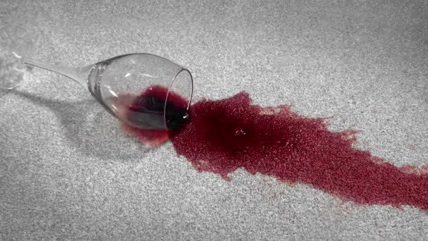 Σταγόνες Κρασιού Στο Πάτωμα — Αρχείο Βίντεο