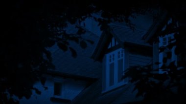 House Rooftop Window At Night With Foliage Moving