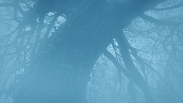 雾蒙蒙的哥特式景观中的枯树 — 图库视频影像
