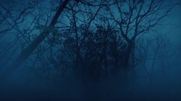 Walking Misty 어두운 Creepy Landscape — 비디오
