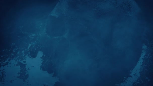 Череп Тёмном Болоте Туманом — стоковое видео