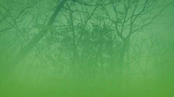 Giftig Grön Gas Över Döda Skogen Kemisk Läcka — Stockvideo
