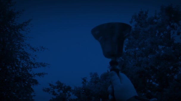 Zvoněnka Historických Šatech Noci Podle Stromů — Stock video
