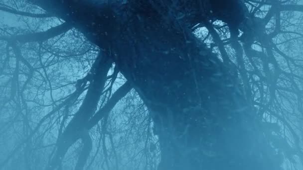 Árbol Niebla Nieve Fantasía Paisaje — Vídeo de stock