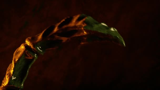 蝎子变种生物尾击 — 图库视频影像
