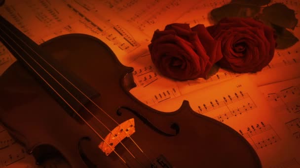 Concerto Violino Rosas Fogueira Cena Romântica — Vídeo de Stock