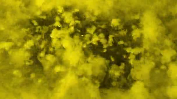 Žlutá Chemická Reakce Bublající Povrch — Stock video