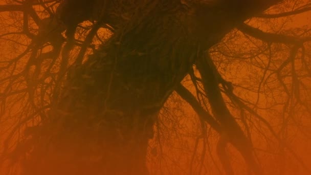 Skrämmande Misty Swamp Fantasy Scene — Stockvideo