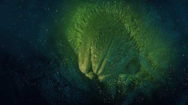Alien Egg Lit Com Tocha Caverna Enevoada — Vídeo de Stock