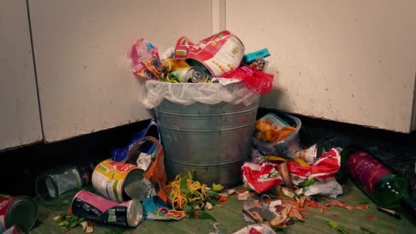 Sineklerle Dolu Çöp Kutusuna Konserveler Atıldı — Stok video