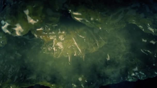 Créature Extraterrestre Tortille Dans Oeuf Sur Plafond — Video