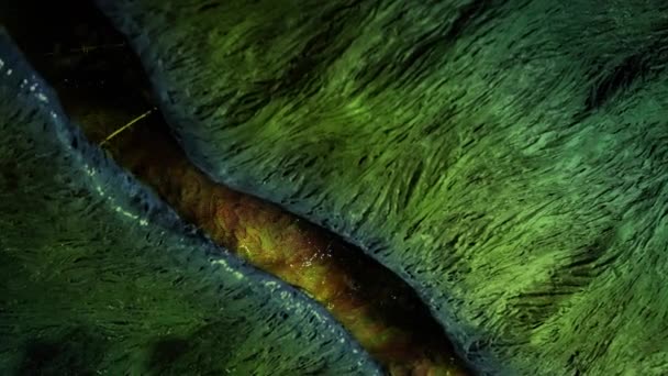 Creatura Extraterestră Colorată Subțire Deschide Tavan — Videoclip de stoc