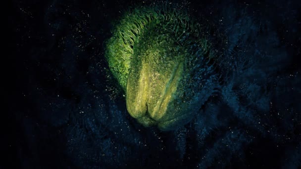 Person Zündet Fackel Auf Alien Auf Höhlendach — Stockvideo