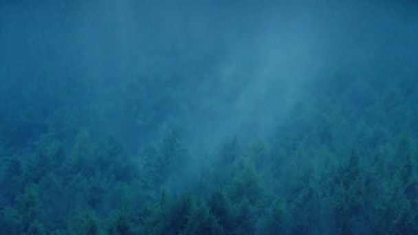 Chuvas Paisagem Floresta Nebulosa — Vídeo de Stock