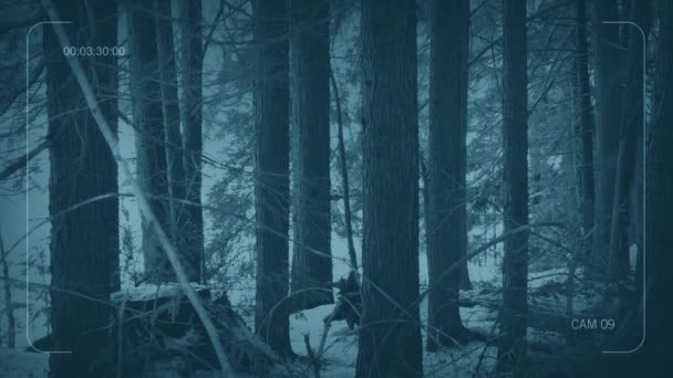 Cctv Anonieme Man Loopt Door Snowy Woods — Stockvideo