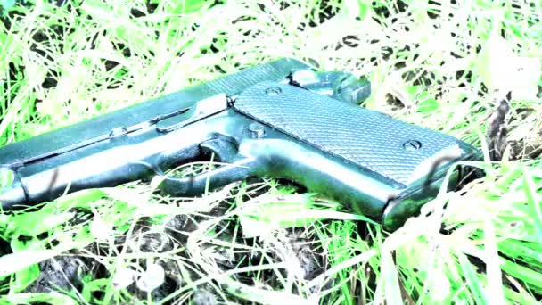 草皮犯罪现场的警用摄影枪 — 图库视频影像