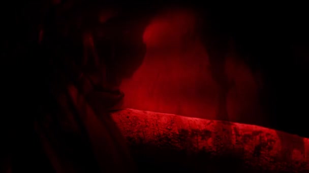 Yılan Dal Kırmızı Ateş Soyutlamasında Lerliyor — Stok video