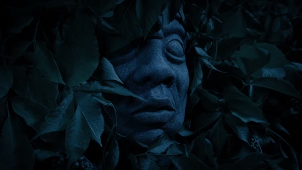 Antike Statue Gesicht Dunklen Dschungel — Stockvideo