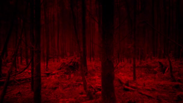 Scary Red Creature Pov Déplaçant Dans Les Bois — Video